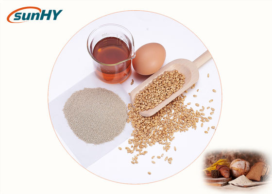 Submerged Fermentation 100000 U/G Food Grade Lipase For Bakery