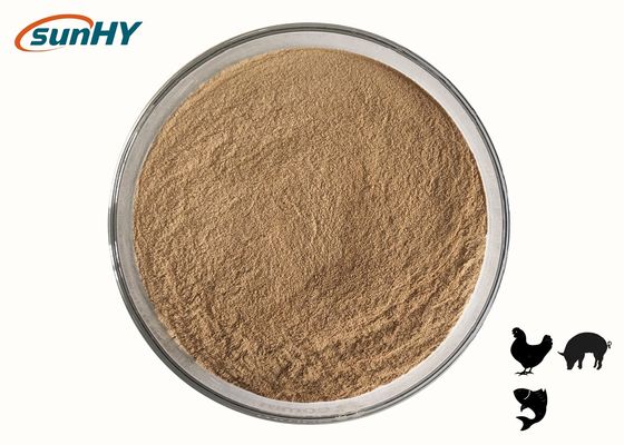 Feed Grade Probiotics For Animal