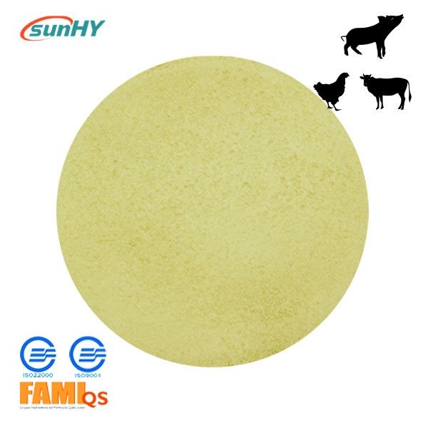 Feed Grade 10000u/g Acid Protease Enzyme Protease Digestive Enzyme
